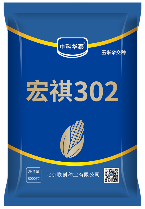 宏祺302